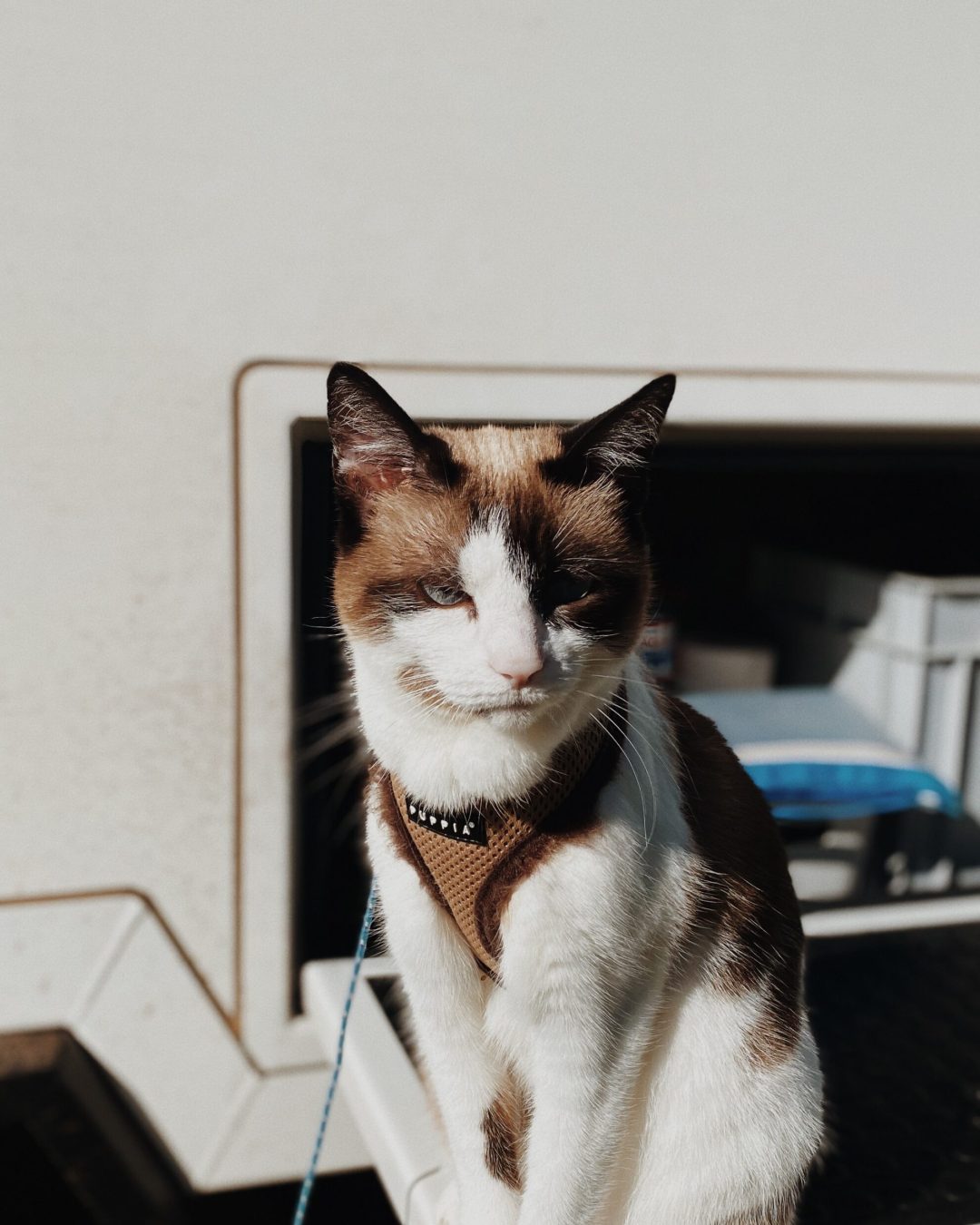 Processed with VSCO with m5 preset